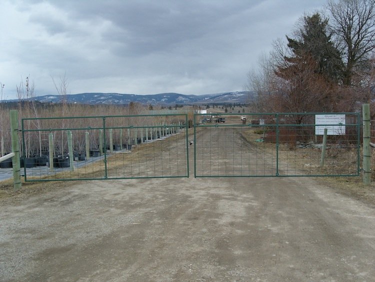 SNV12396.JPG