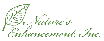 Nature's Enhancement, Inc.